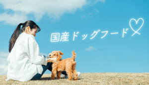 国産ドッグフード