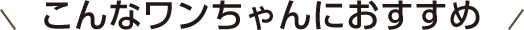 こんなワンちゃんにおすすめ