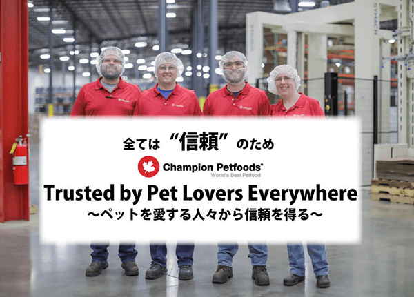 オリジンの信頼性