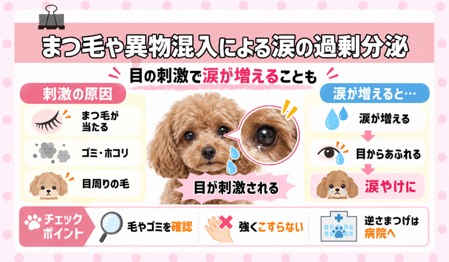 異物混入による涙の過剰分泌
