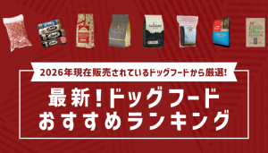 ドッグフードおすすめ人気比較ランキング