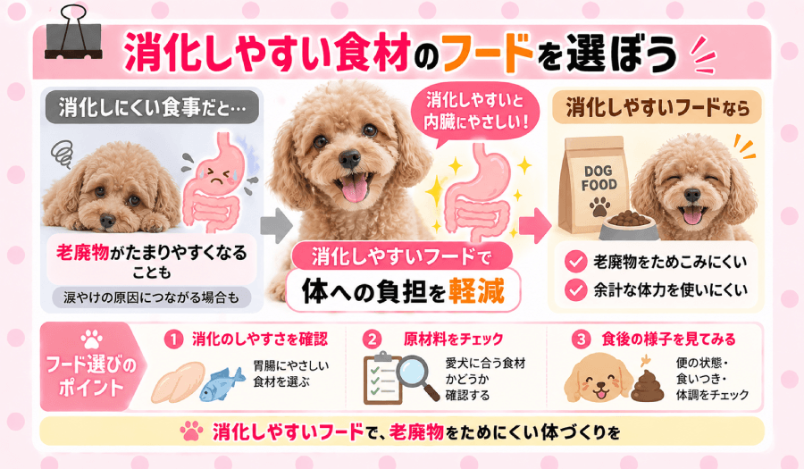 消化性の高い食材
