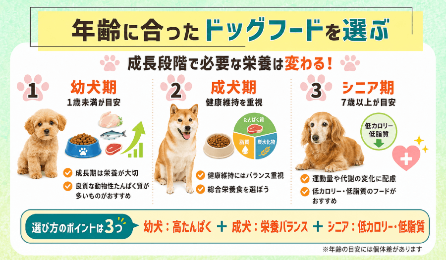 年齢に合ったドッグフードを選ぶ