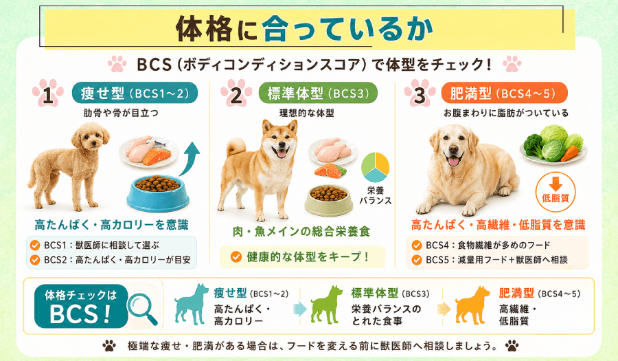 体格に合っているか