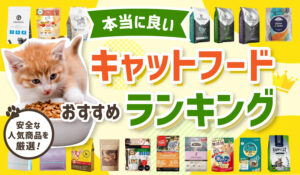 キャットフードおすすめ人気ランキング