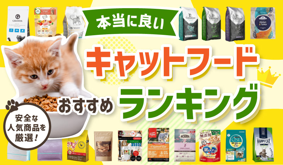 本当に良いキャットフードおすすめランキング！安全な人気商品17選
