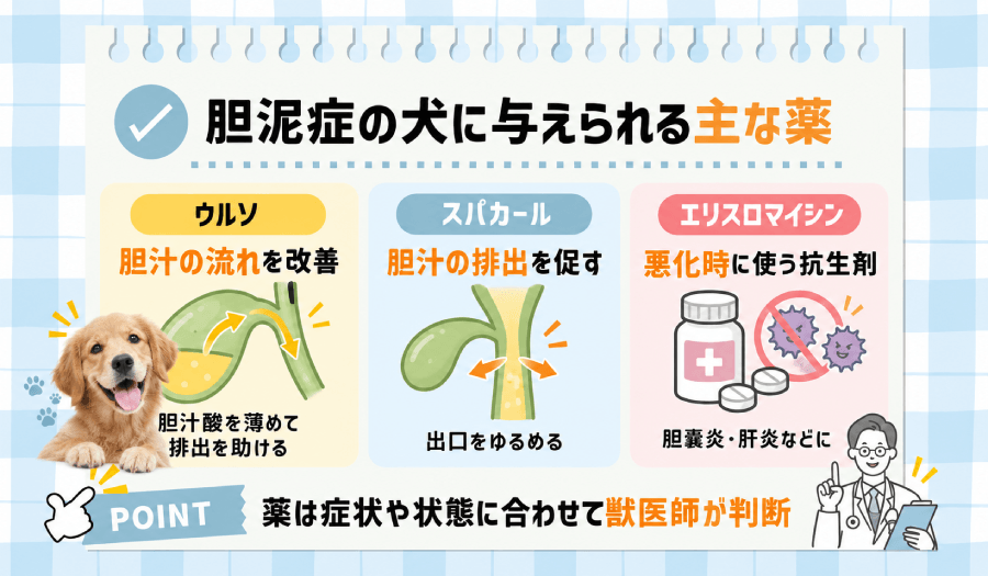 胆泥症の主な薬