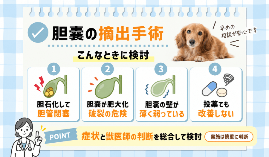 胆嚢の摘出手術