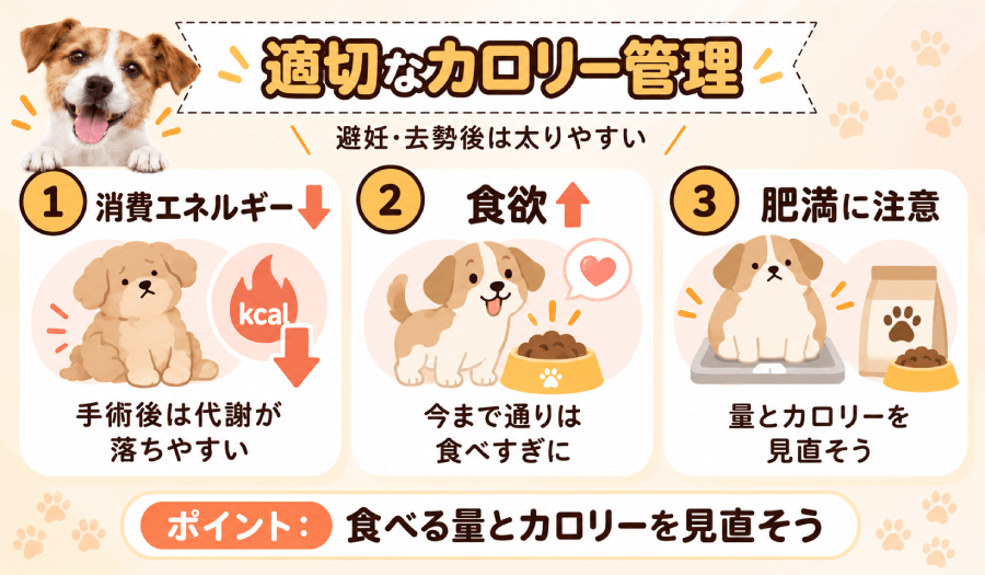 適切なカロリー管理