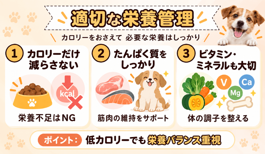 適切な栄養管理