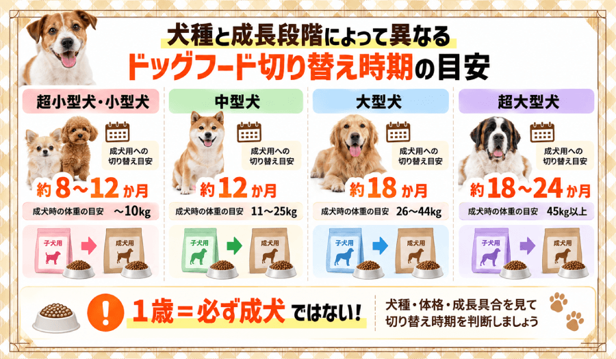 切り替え時期の目安