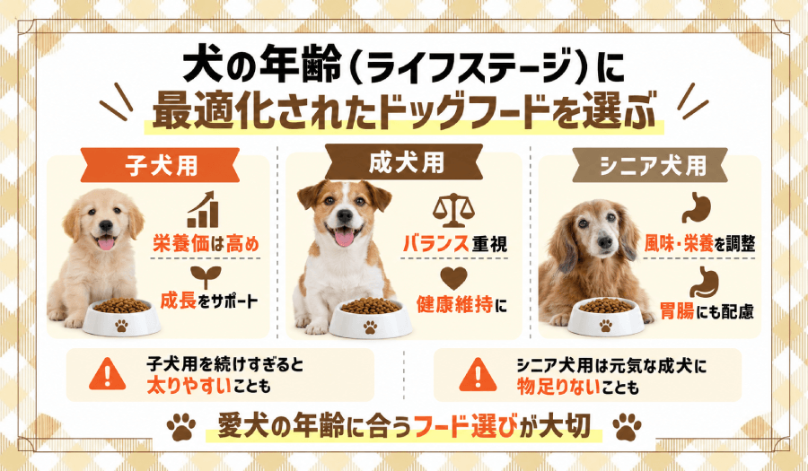 犬の年齢に合ったドッグフードを選ぶ