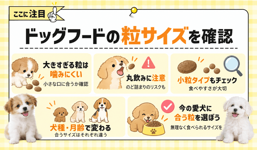 粒のサイズを確認