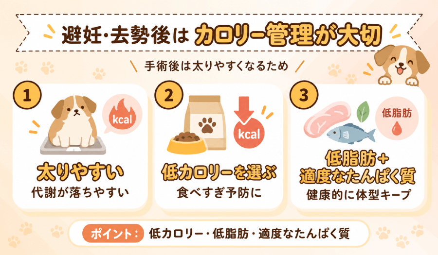 カロリーコントロール