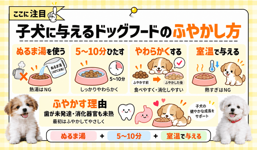 ドッグフードのふやかし方