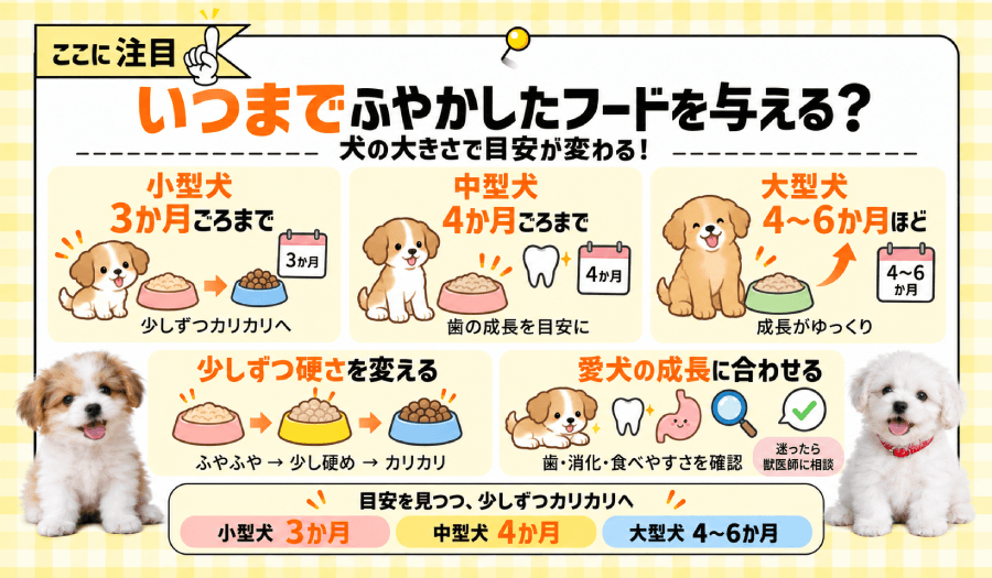 いつまでふやかす?