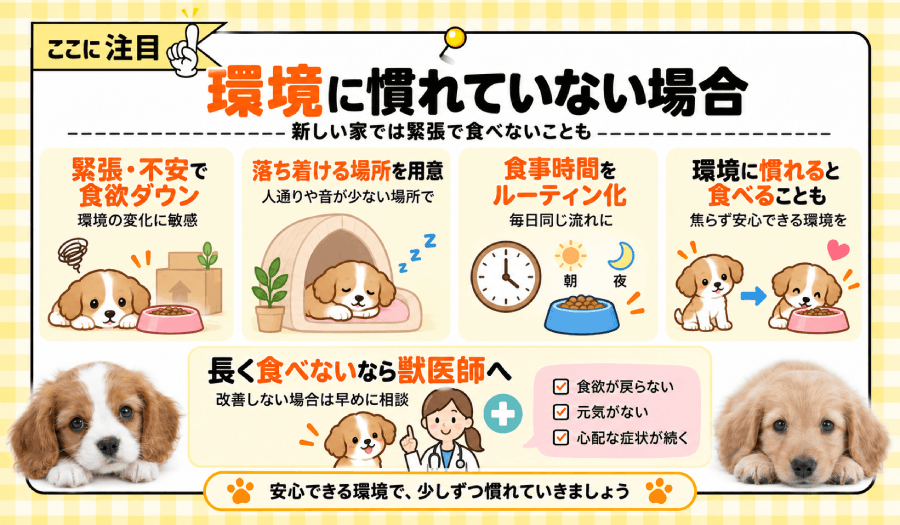 環境に慣れていない