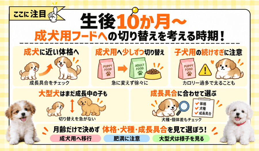 生後10か月~
