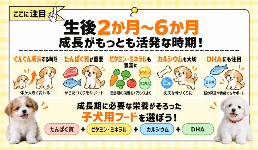 生後2か月~6か月