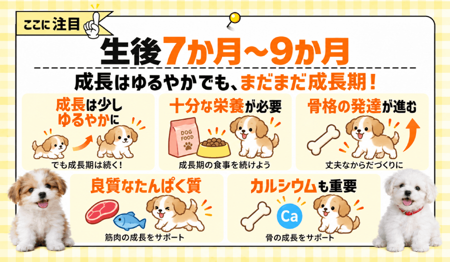 生後7か月~9か月