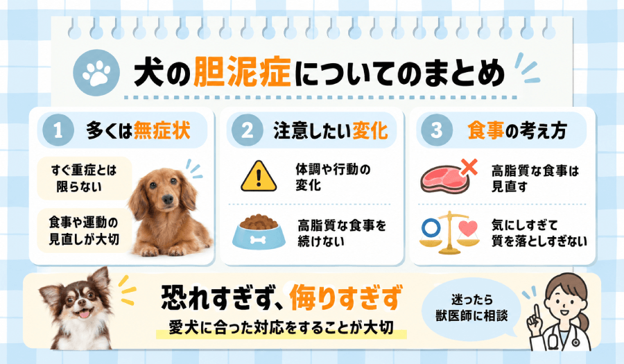 犬の胆泥症まとめ