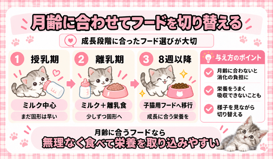 月齢に合わせて切り替える