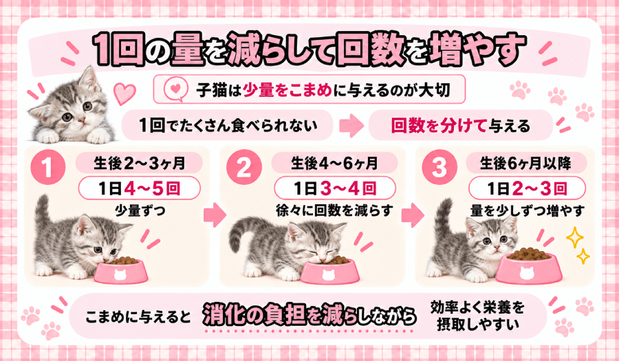 量を減らして回数を増やす