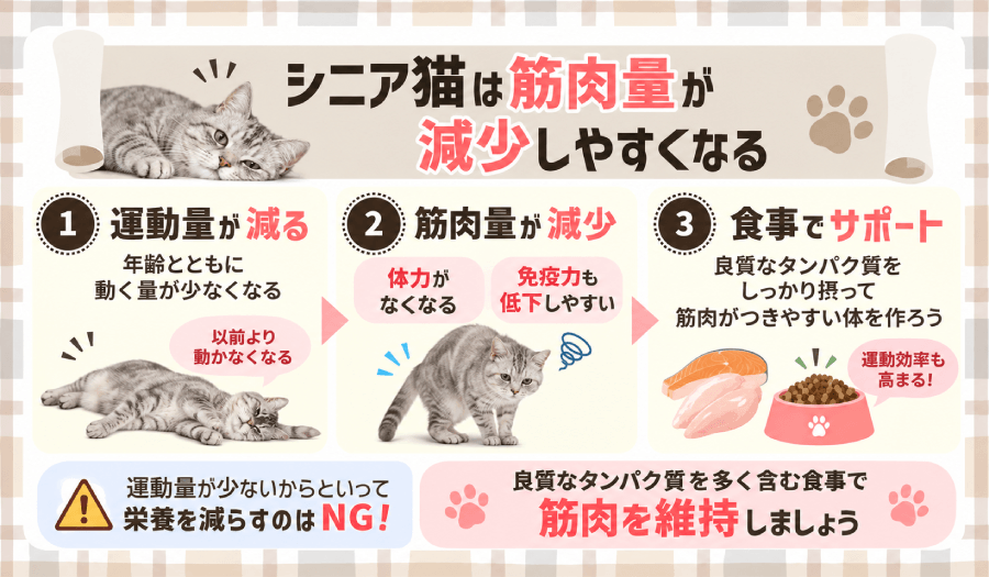 筋肉量が減少