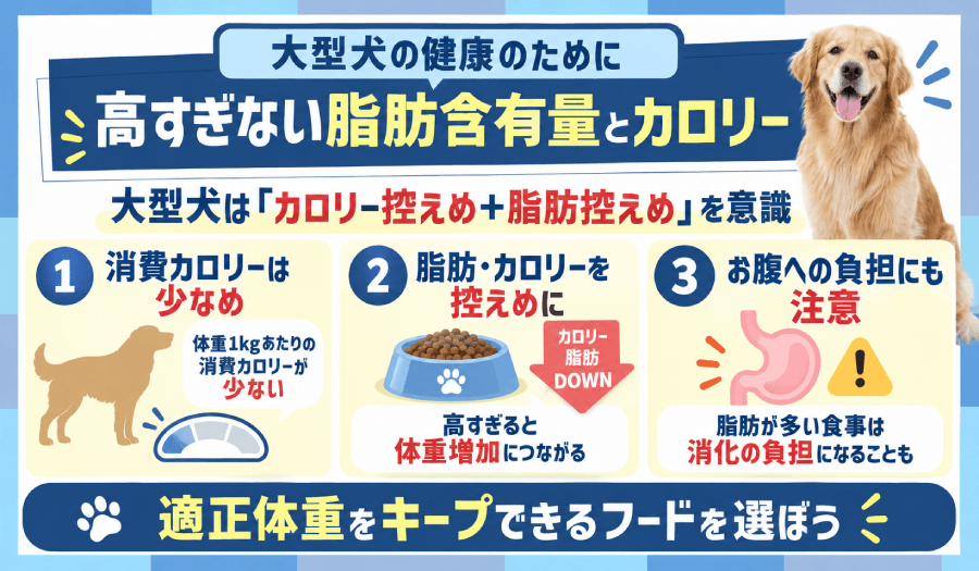 脂肪含有量とカロリー