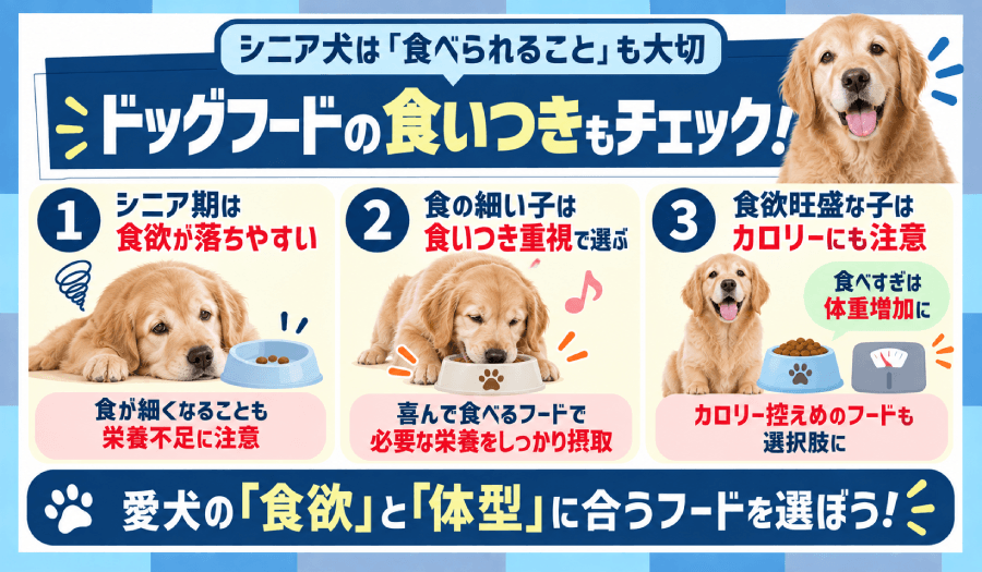 食いつき