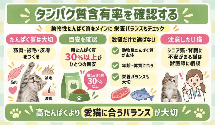 タンパク質含有率