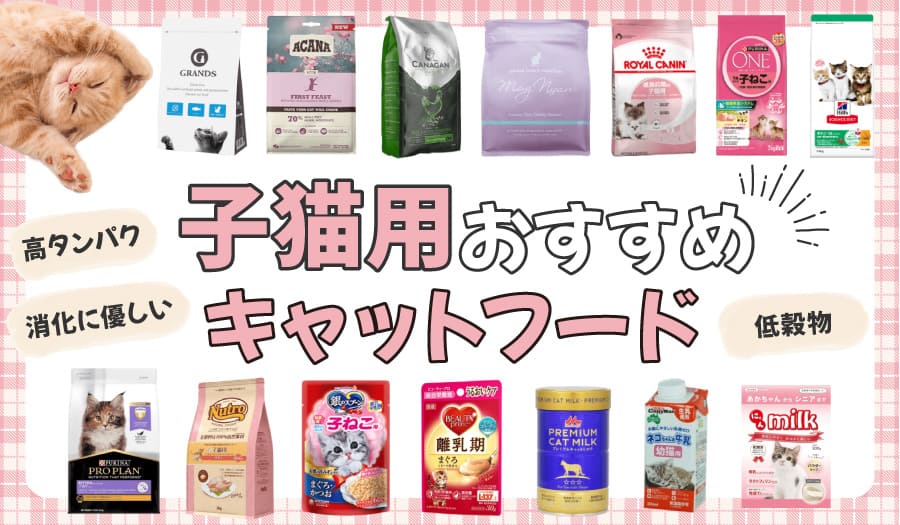 子猫におすすめのキャットフード14選