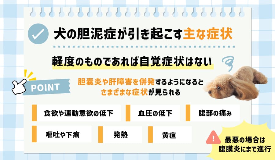 犬の胆泥症が引き起こす主な症状
