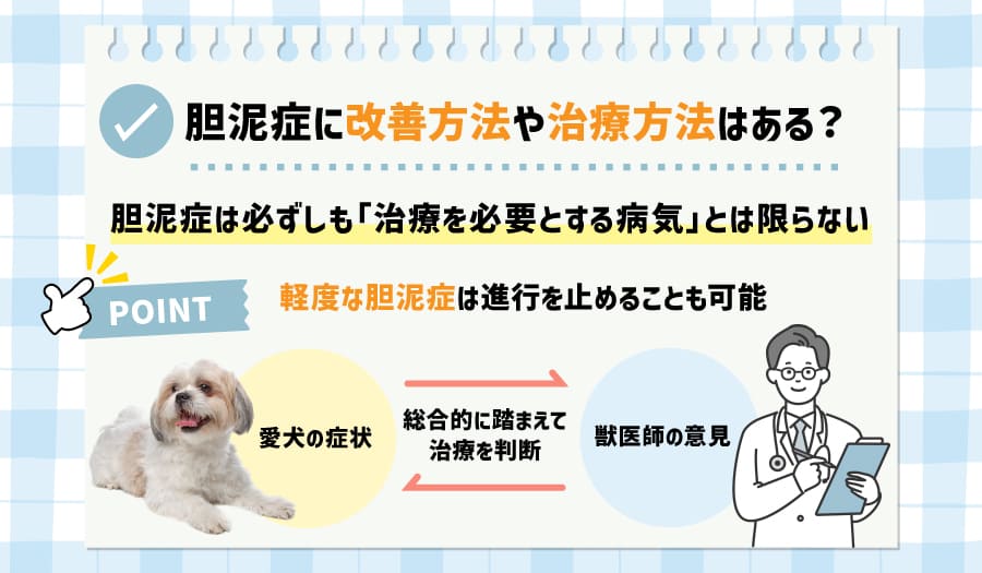 胆泥症に改善方法や治療方法はある?