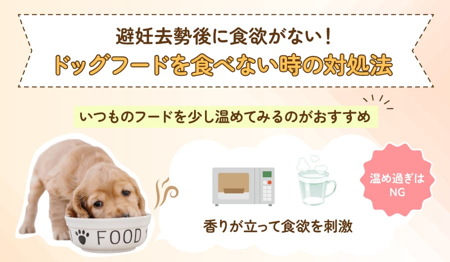 避妊去勢後に食欲がない!ドッグフードを食べない時の対処法