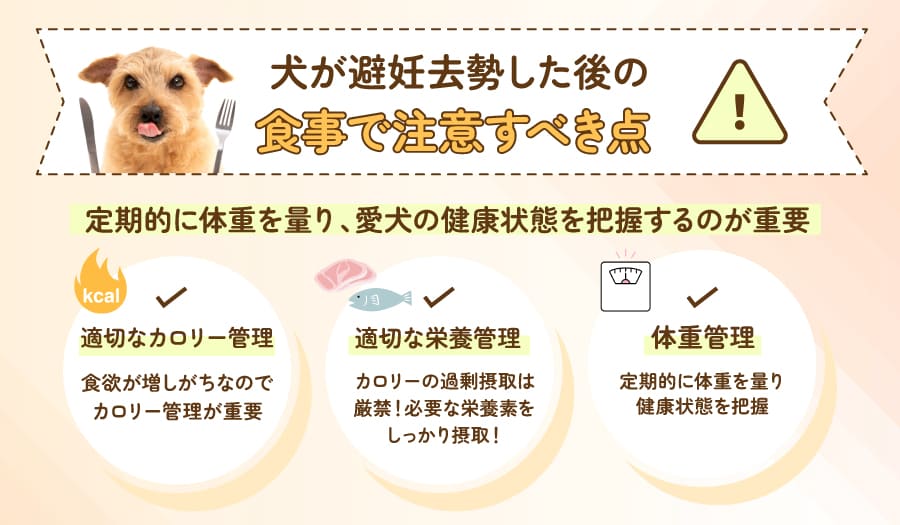 犬が避妊去勢した後の食事で注意すべき点