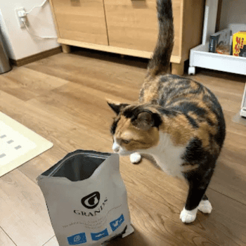 グランツ（サーモン）レビュー