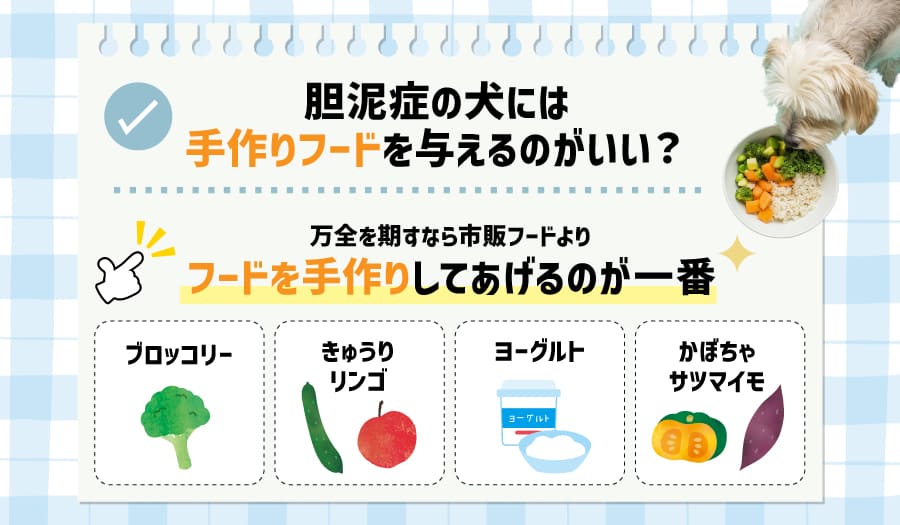 胆泥症の犬には手作りフードを与えるのがいい?