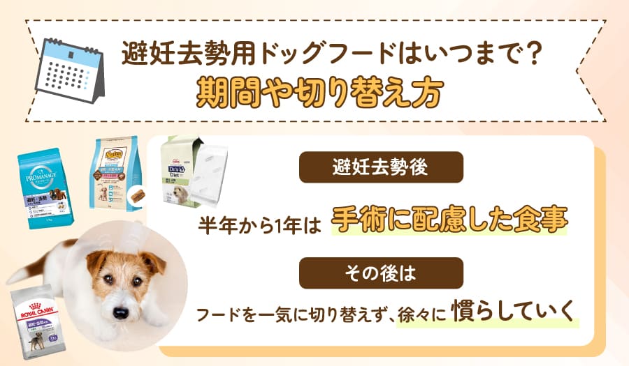 避妊去勢用ドッグフードはいつまで?期間や切り替え方