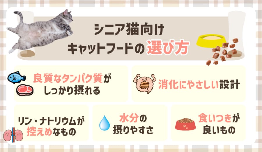 シニア猫向けキャットフードの選び方