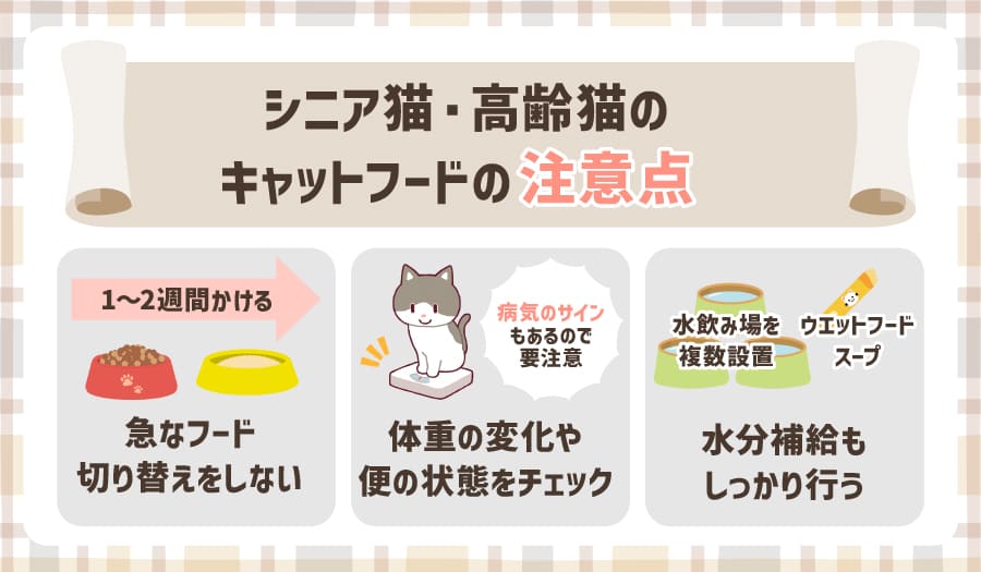 シニア猫・高齢猫のキャットフードの注意点