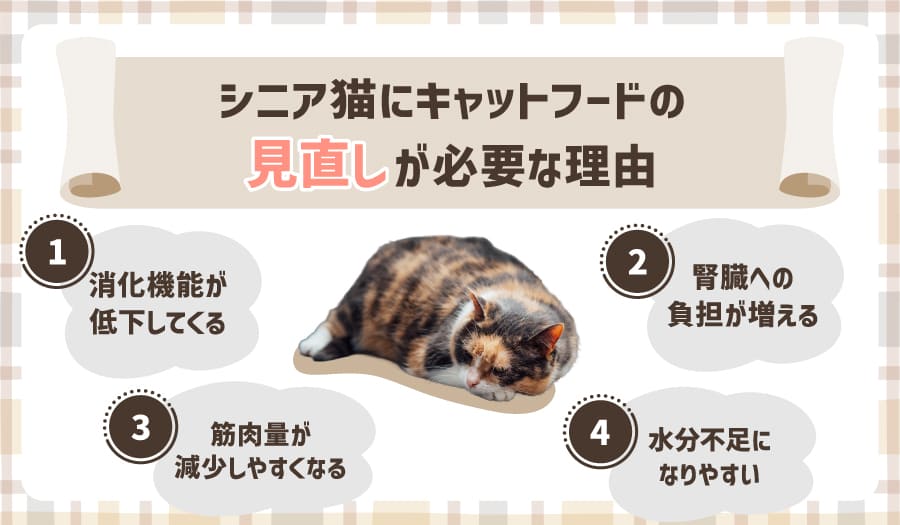 シニア猫にキャットフードの見直しが必要な理由