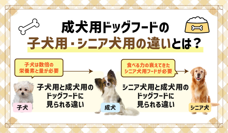 成犬用ドッグフードの子犬用・シニア犬用の違いとは？