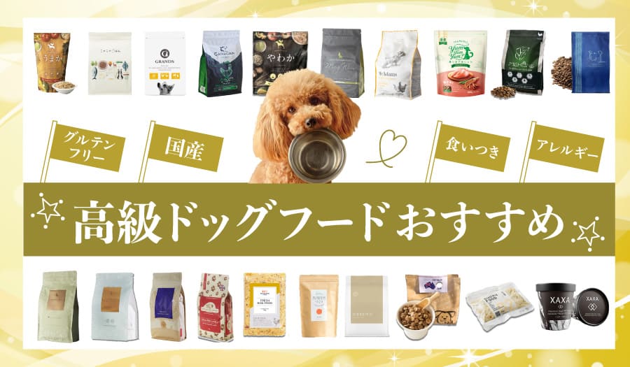 高級ドッグフードおすすめ19選!