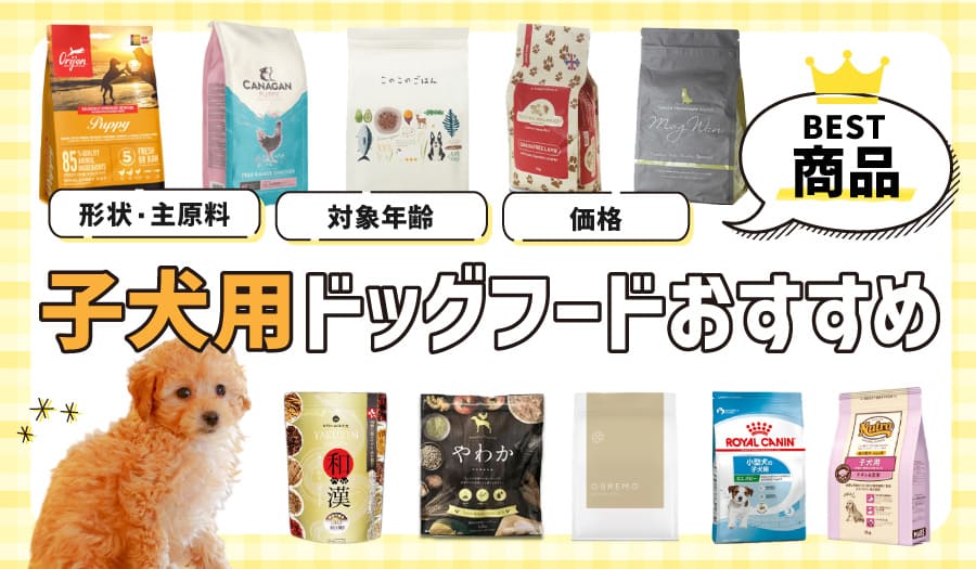 子犬におすすめ！2026年版人気ドッグフードランキング