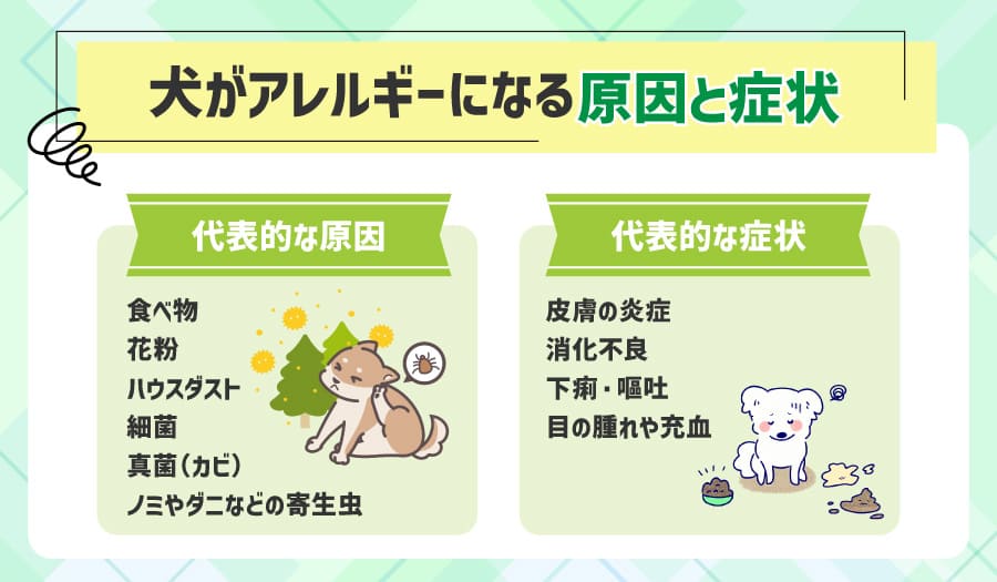 犬がアレルギーを起こしやすい原材料