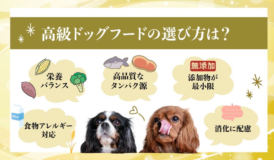 高級ドッグフードの選び方は?