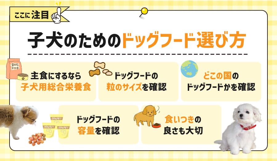ここに注目！子犬のためのドッグフード選び方