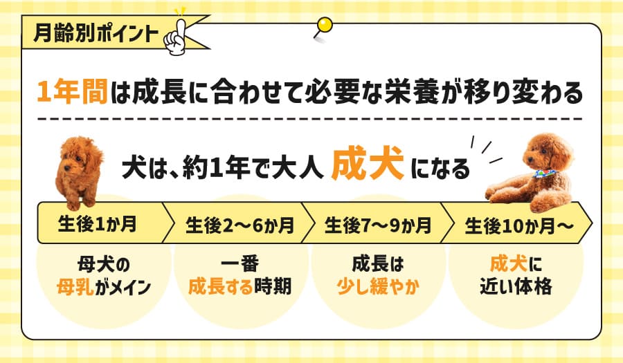 月齢別ポイント！1年間は成長に合わせて必要な栄養が移り変わる