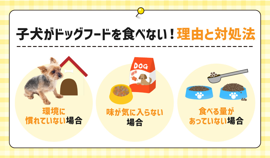 子犬がドッグフードを食べない！理由と対処法